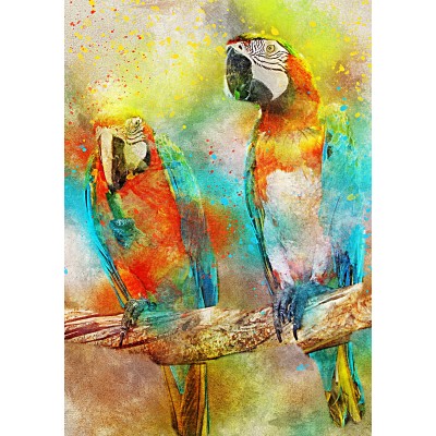 Bild von Bluebird Puzzle Parrots 1000 Teile Puzzle Bluebird-Puzzle-F-90136