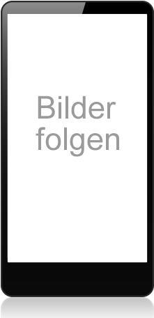 Bild von Book Case 4G Stripe Grey für iPhone 13 Pro GUBKP13L4GDGR Blister (GUBKP13L4GDGR)