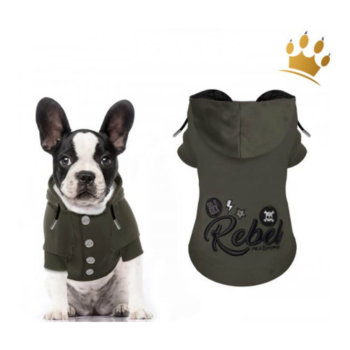 Bild von Stylischer und warmer Hundesweater für kalte Tage