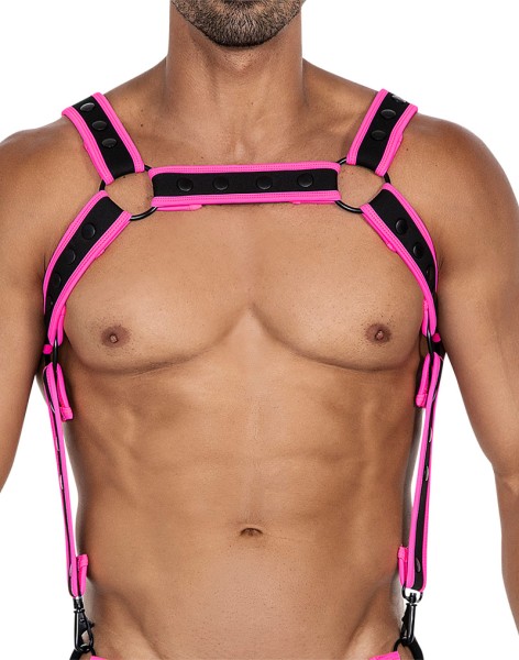 Bild von Oberkörper Harness - Pink
