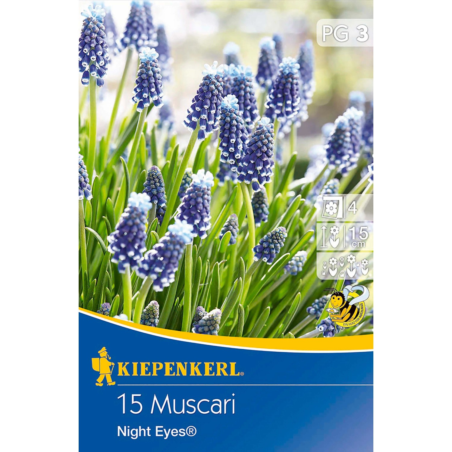 Bild von Kiepenkerl Traubenhyazinthen Night Eyes® Blau 15 Stück