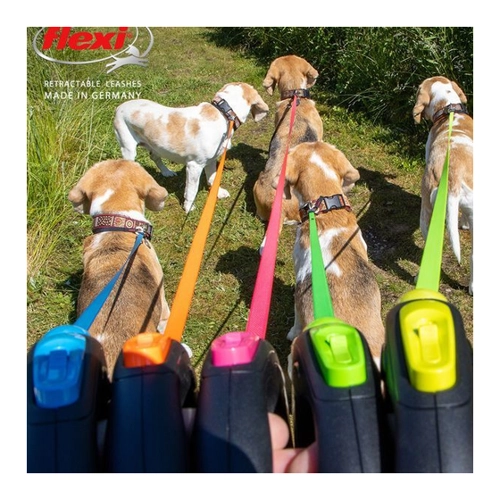 Bild von Flexi® New Neon 5 m / 25 kg - mit Gurt [Neon-Orange]