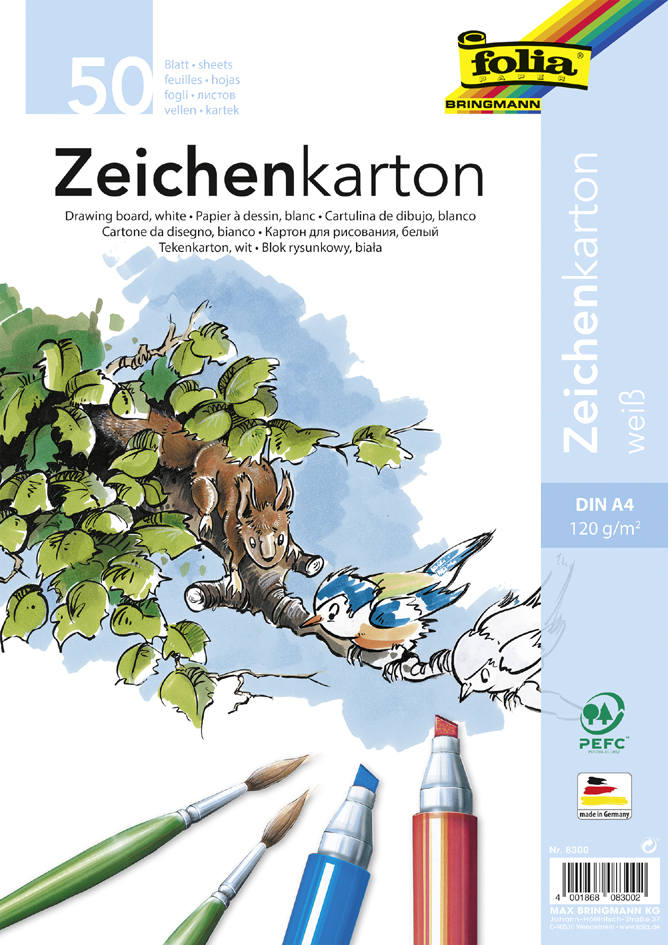 Bild von Folia, Bastelpapier, Zeichenkarton (120 g/m², 50 x)