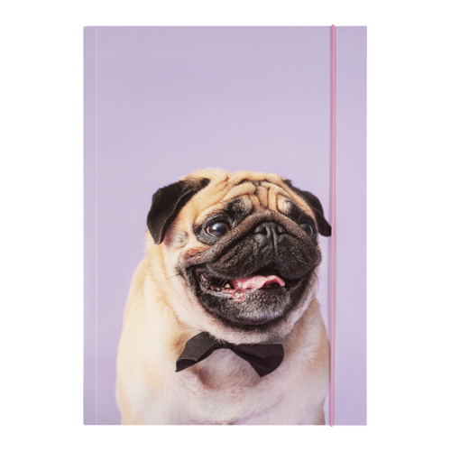 Bild von folia 69002 - Sammelmappe A3 Basic Puggy Love
