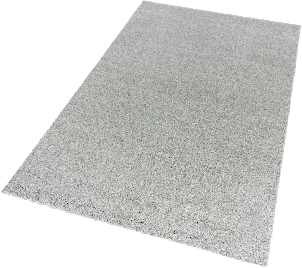 Bild von Astra Teppich »Savona«, BxL: 80 x 150 cm, rechteckig, Polypropylen (PP) - blau