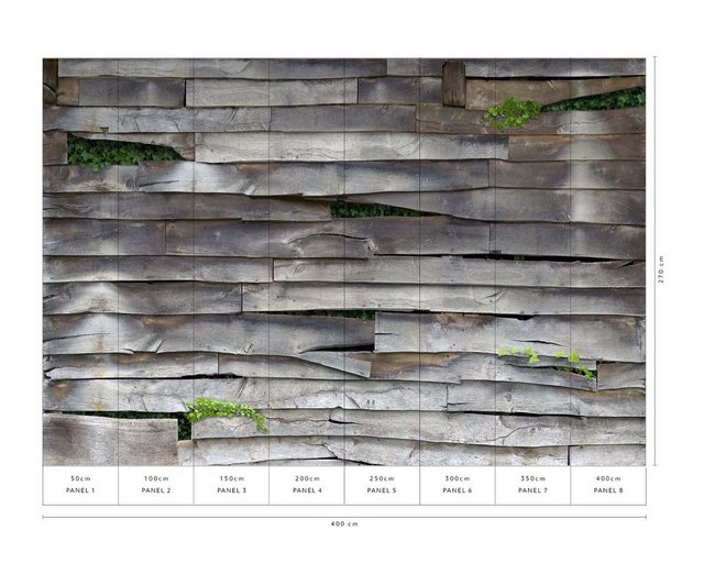 Bild von Bricoflor Holz Tapete Ausgefallen Vlies Fototapete mit Holzbalken und Pflanzen in Grau Grün 3D Vliestapete in Holzoptik Quer für Wohnzimmer und Küche