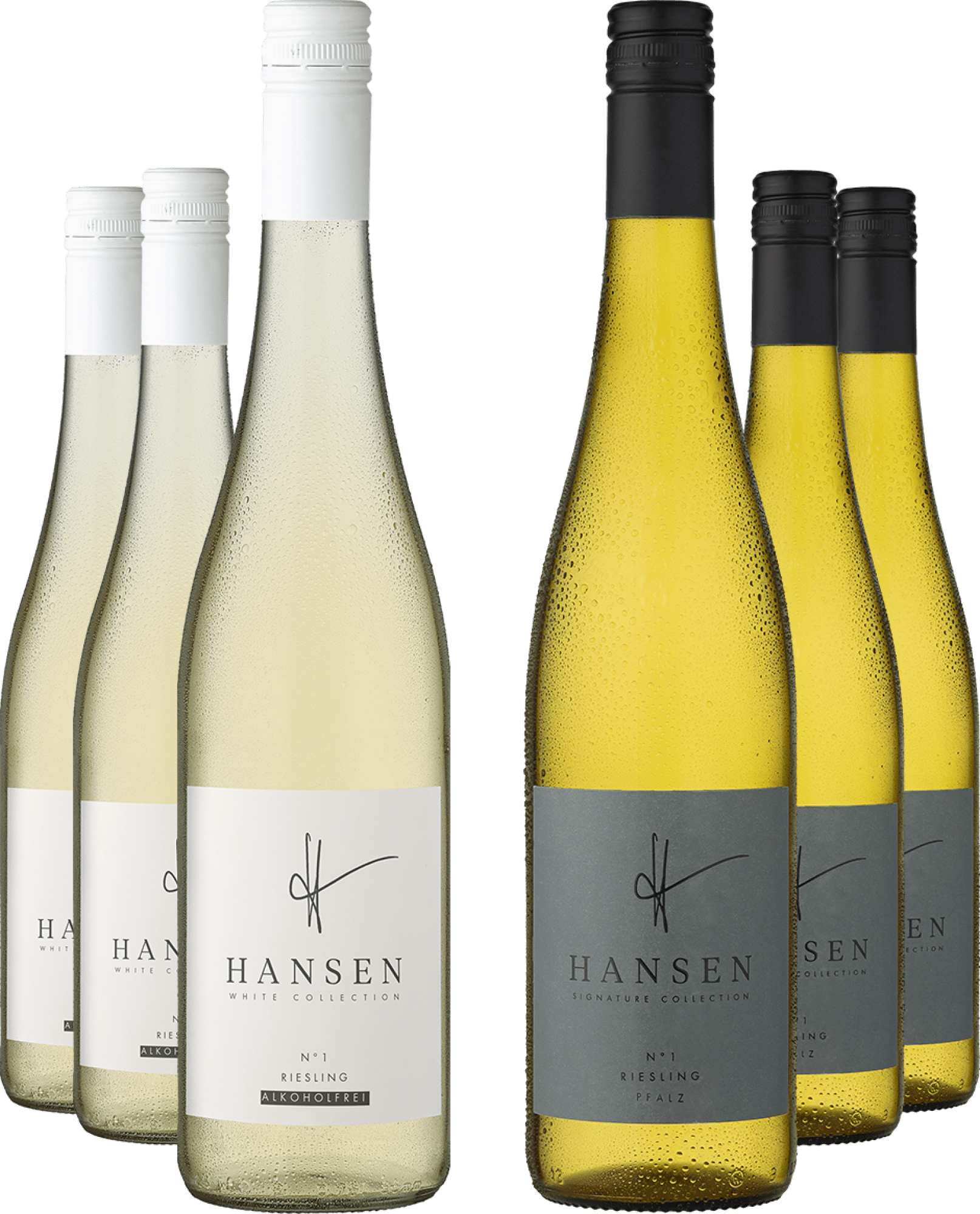 Bild von 6er-Probierpaket »HANSEN Riesling-Duo«