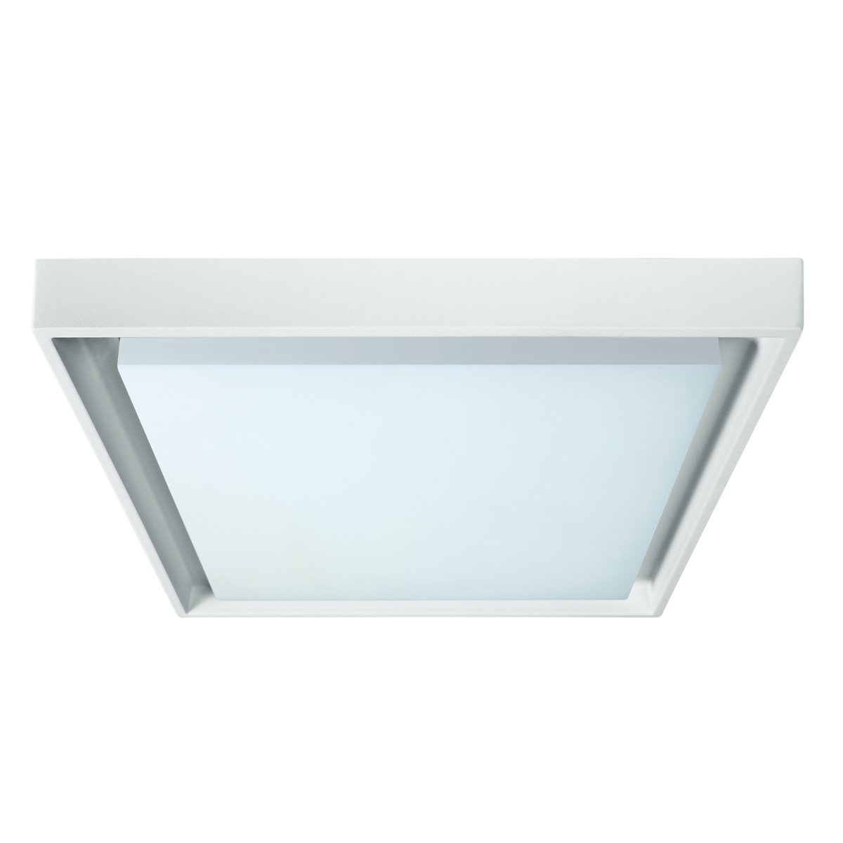 Bild von näve Außen-Wandleuchte Außenwandleuchte LED Wandleuchte Außen Wandlampe Deckenleuchte 34 cm, IP54, LED fest integriert, Warmweiß, Deckenlampe