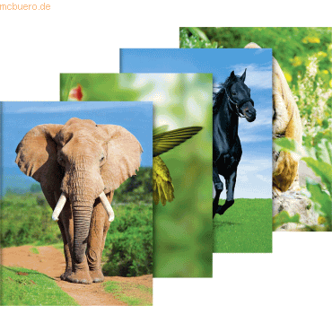 Bild von 10 x Brunnen Sammelmappe A3 Karton Tiere Motive sortiert