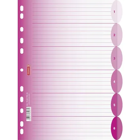 Bild von 10 x Brunnen Register Colour Code A4 6-teilig PP blanko pink