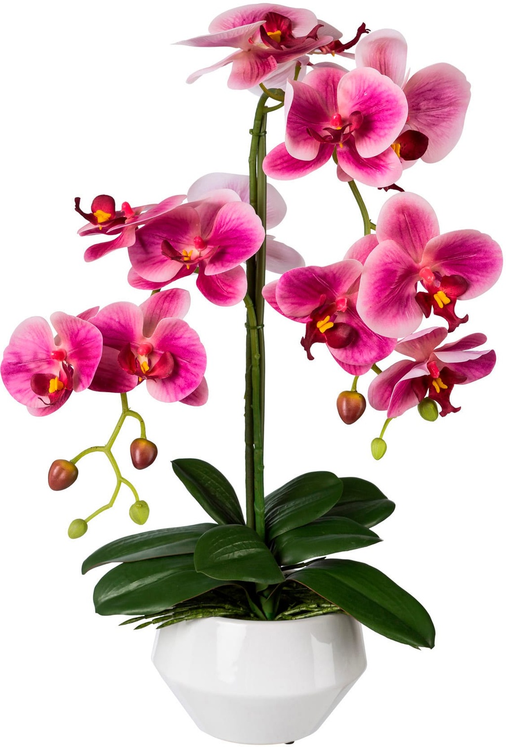 Bild von Kunstorchidee GASPER, pink (fuchsia), B:30cm H:52cm T:30cm, Keramik, Kunststoff, Kunstpflanzen