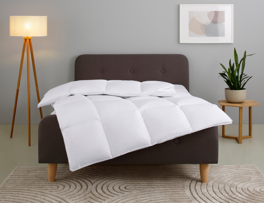 Bild von Home affaire Daunenbettdecke "Litrone, Bettdecke 135x200 cm, 155x220 cm, 200x200 cm, 240x220 cm", extrawarm, Füllung 100% Gänsedaunen, Bezug Baumwolle, (1 St.), Bettdecken, Sommer, Winter, Ganzjahresdecke, Decke, Made in Germany