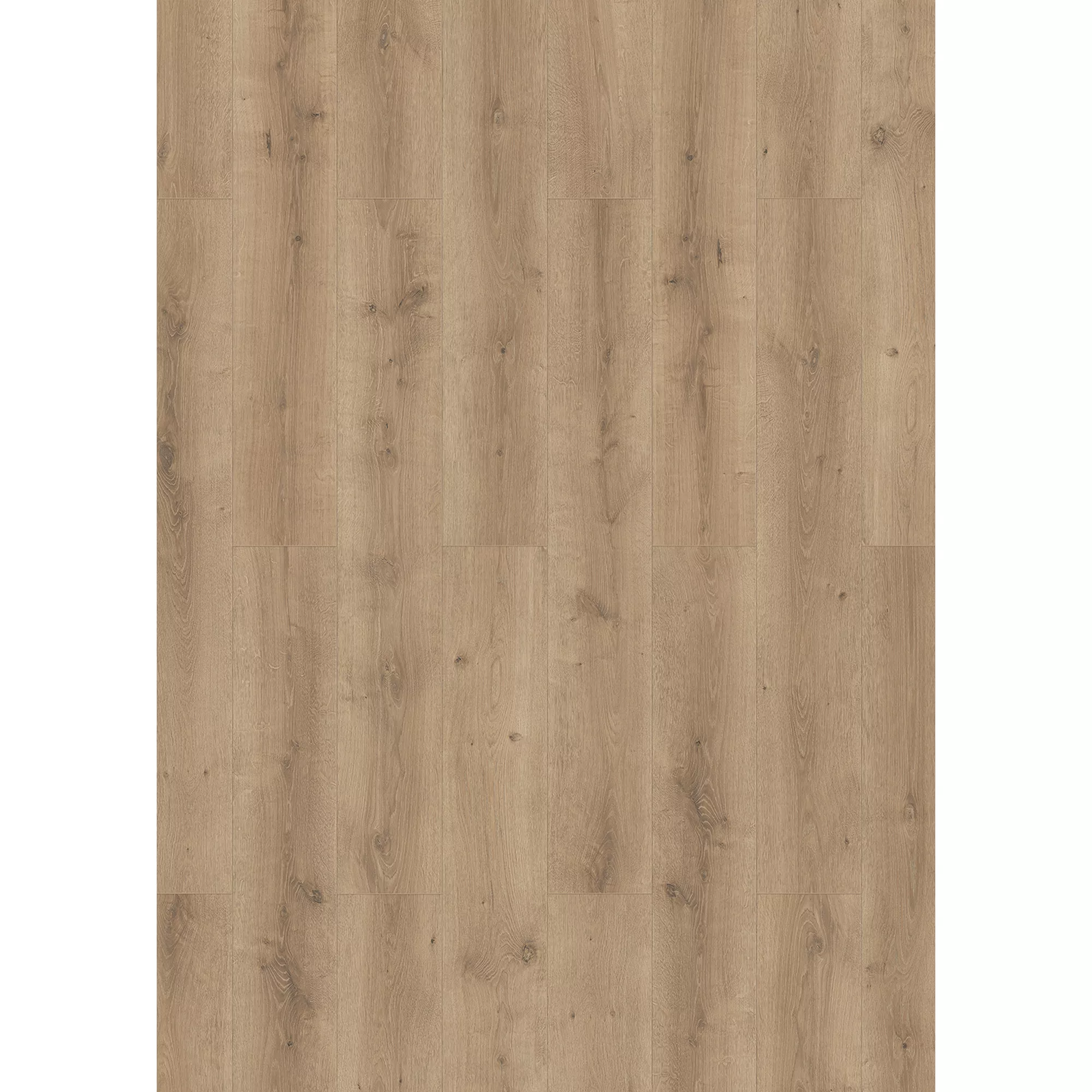 Bild von Classen Laminat '832-4 WR' Eiche naturfarben 8 mm