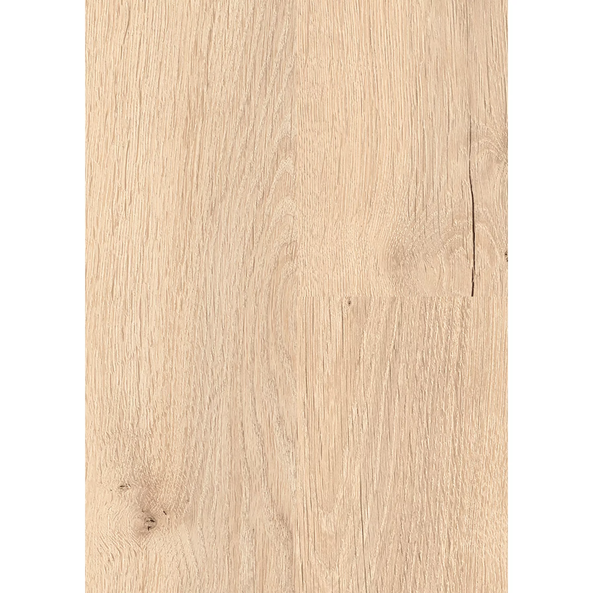 Bild von Classen Laminat '832-0' Eiche beige 8 mm