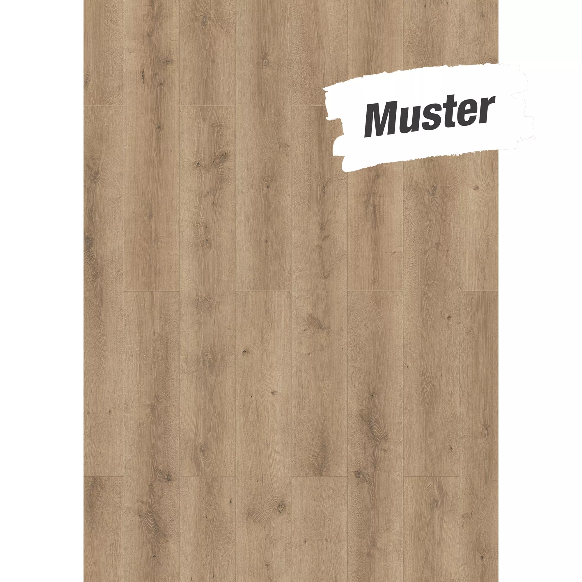 Bild von toom Handmuster zum Laminat '832-4 WR' Eiche naturfarben 8 mm