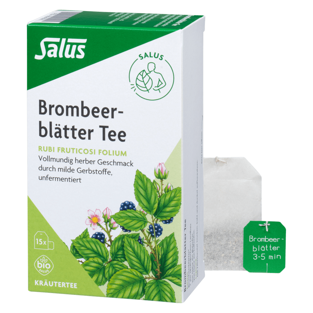 Bild von Brombeerblättertee Bio Salus 15 Filterbeutel - Zur Teezubereitung