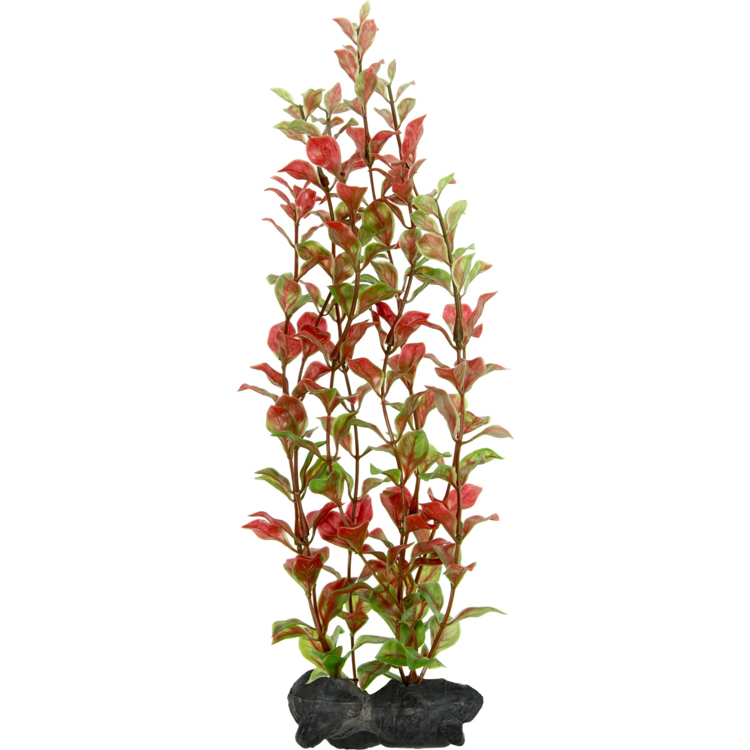 Bild von Tetra Plantastics Red Ludwigia 36 (Dekoration, Pflanzen), Aquarium Dekoration