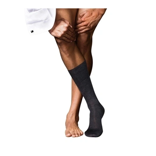 Bild von Falke Socken No. 6