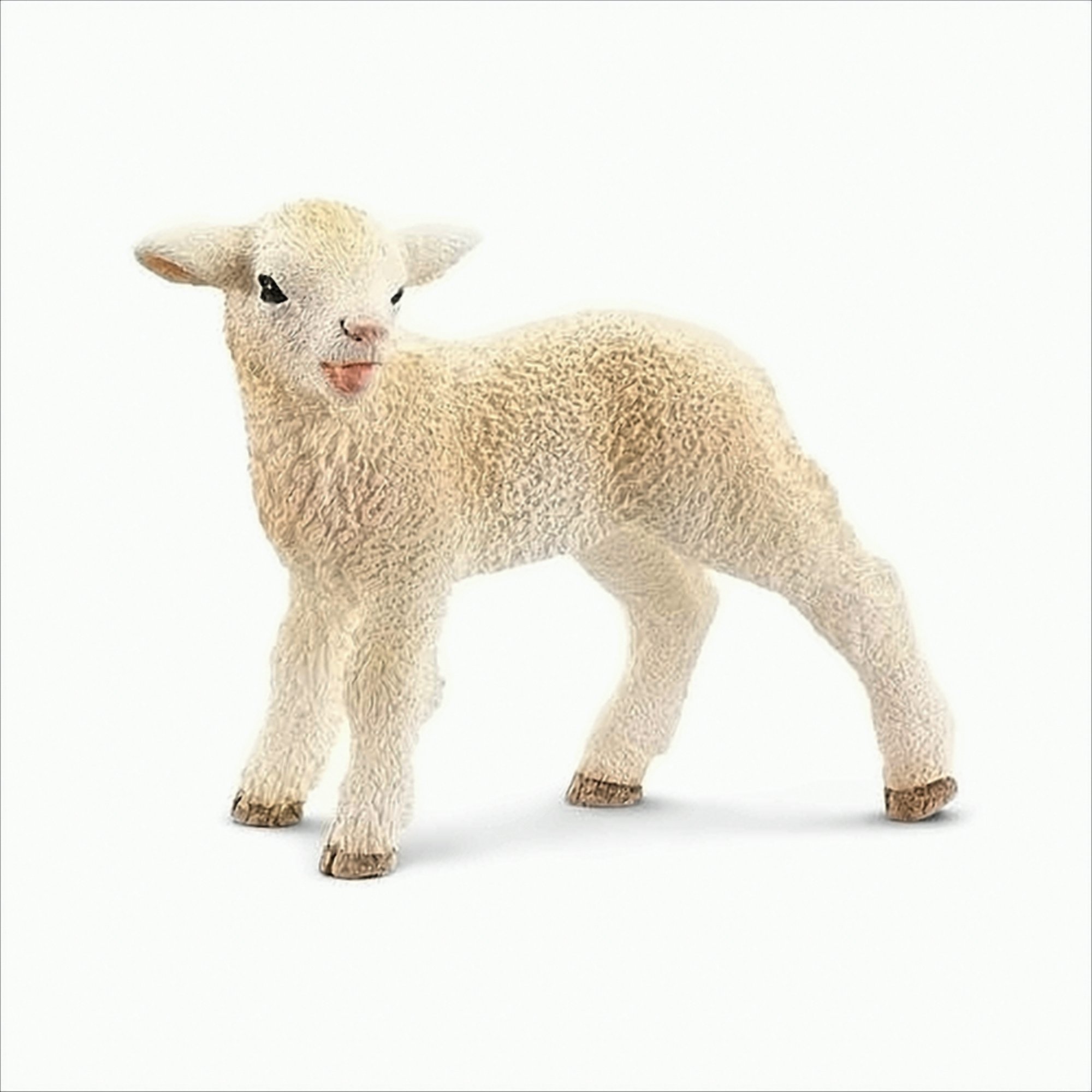 Bild von SCHLEICH 13744 - Schäfchen