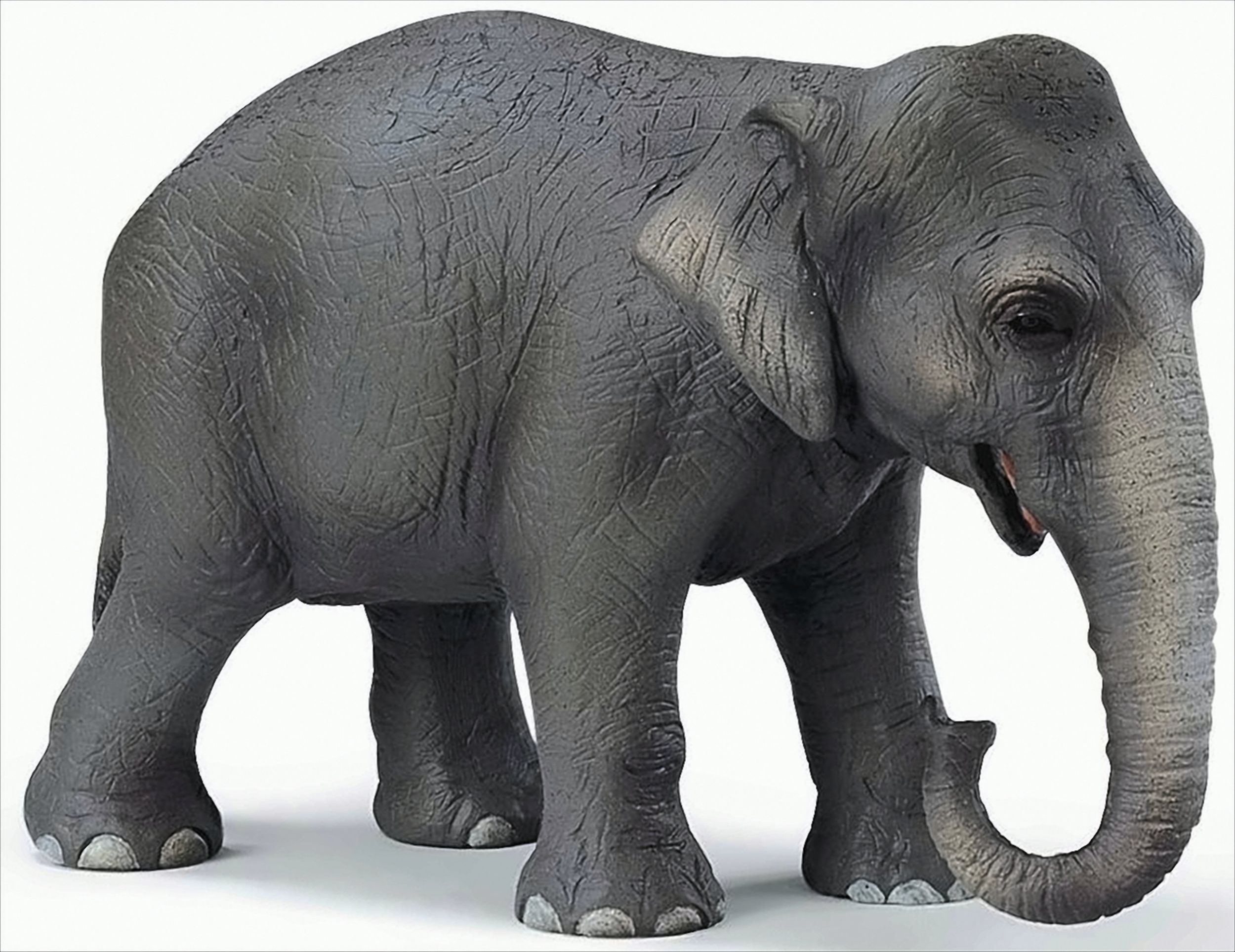 Bild von Schleich 14344 - Wild Life, Asiatische Elefantenkuh