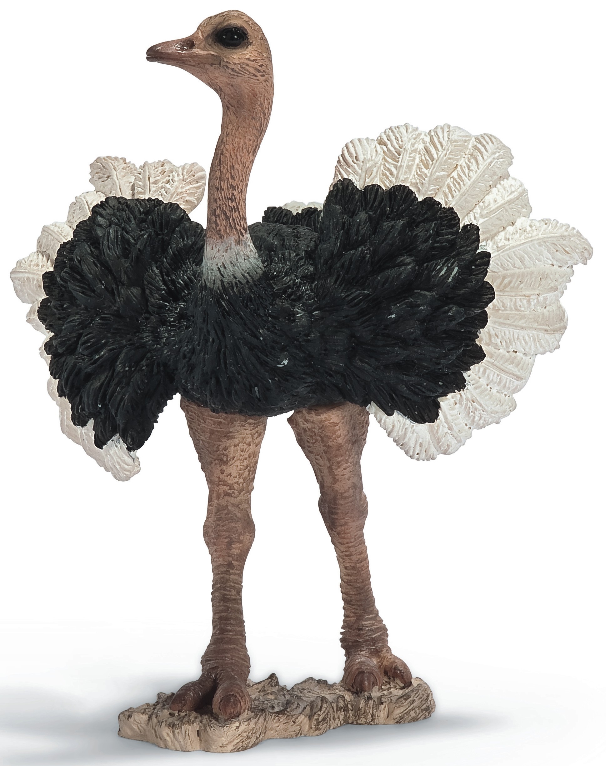 Bild von Schleich 14610 - Straußenmännchen