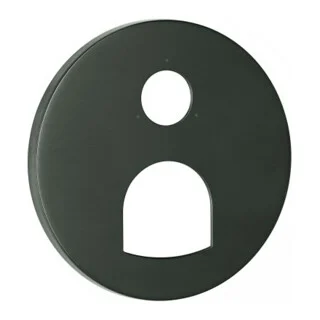 Bild von Grohe Rosette 49117 rund für EHM-FMS hard graphite gebürstet, 49117AL0 49117AL0