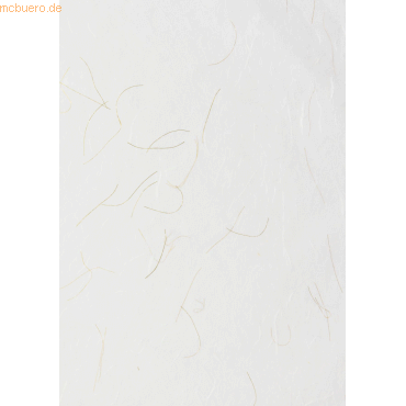 Bild von 25 x Heyda Strohseide 25g/m 50x70cm weiß