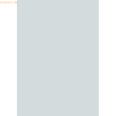 Bild von 10 x Heyda Plakatkarton 380g/qm 48x68cm hellgrau