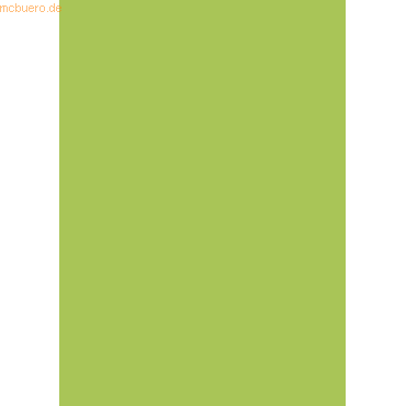 Bild von 10 x Heyda Plakatkarton 380g/qm 48x68cm maigrün