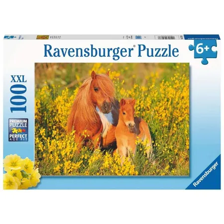 Bild von Ravensburger Kinderpuzzle - Shetlandponys - 100 Teile Puzzle für Kinder ab 6 Jah...