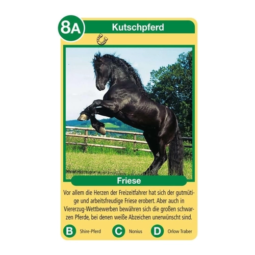 Bild von Ravensburger 20422 - Pferde Quartett