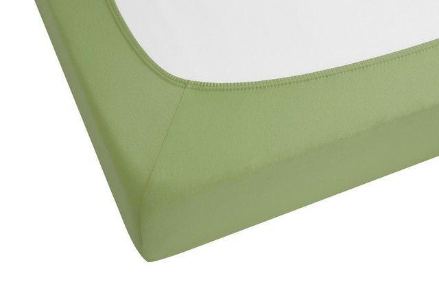 Bild von Biberna Feinjersey Spannbettlaken Spannbetttuch 90x200 cm - 100x200 cm Fichte