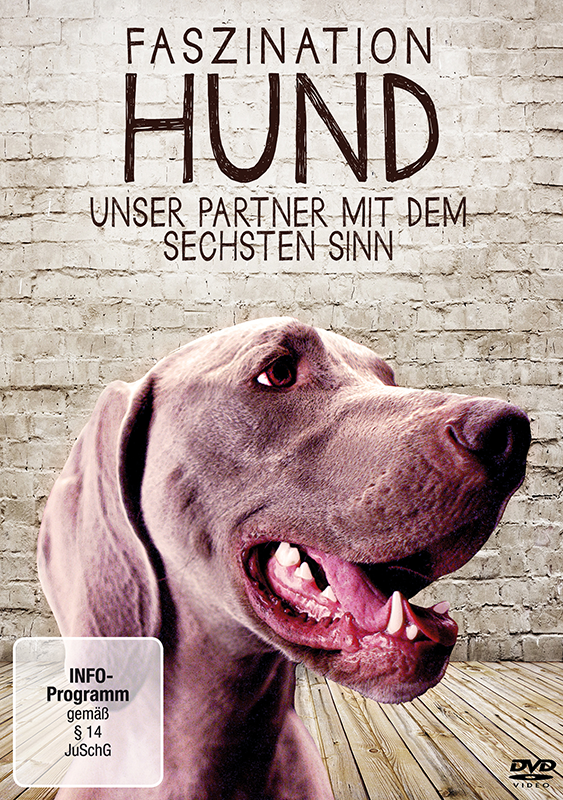 Bild von Faszination Hund - Unser Partner mit dem sechsten Sinn
