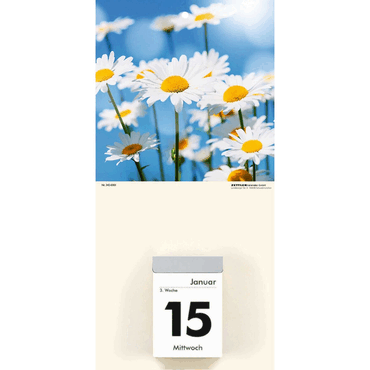 Bild von ZETTLER Abreißkalender Kalenderrückwand 14,5x30cm für Typ 301 / 302 Blumen sortiert