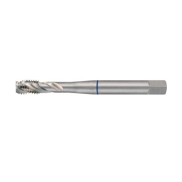 Bild von Ruko Maschinengewindebohrer DIN 371C M8x1,25mm HSS 6H RUKO Präzisionswerkzeuge