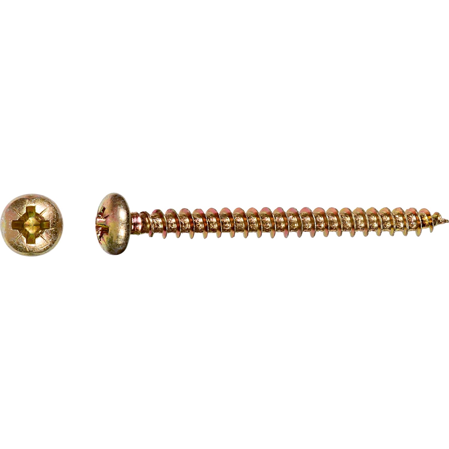 Bild von Halbrundkopf Spanplattenschraube PZ-Antrieb Ø 5 mm x 40 mm 12 Stück