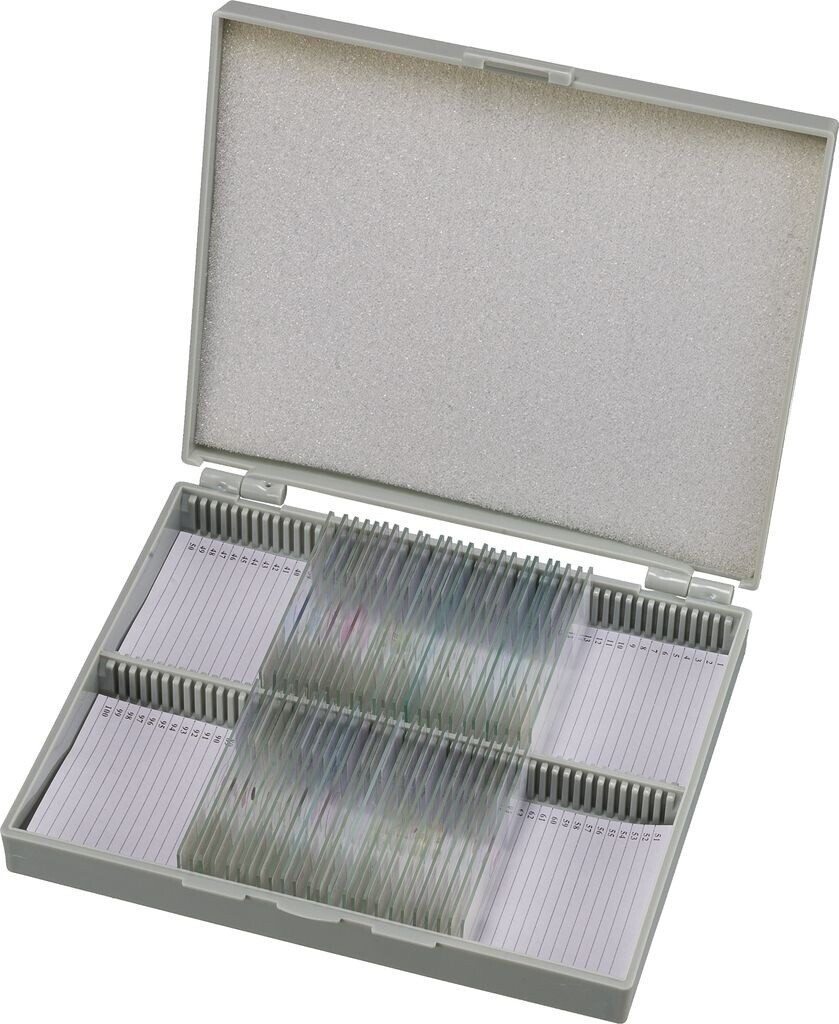 Bild von Bresser Mikroskop Dauerpräparate 30 Stück in Kunststoffbox, Lernpräparate aus der Biologie