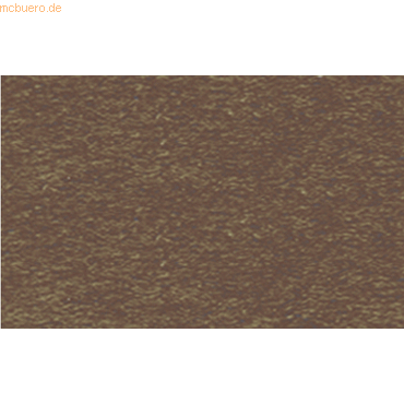 Bild von 10 x Ludwig Bähr Fotokarton 300g/qm 50x70cm dunkelbraun