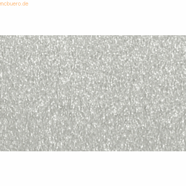 Bild von 10 x Ludwig Bähr Fotokarton 300g/qm 50x70cm silber matt