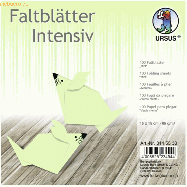 Bild von Ursus - Ludwig Bähr Bastelkartonpapier Faltblätter Intensiv Uni 15x15cm VE=100 Blatt mint