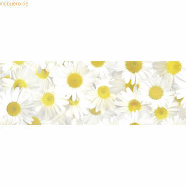 Bild von Ursus - Ludwig Bähr Bastelkartonpapier Transparentpapier 115g/qm A4 VE=25 Blatt Flora Margeriten