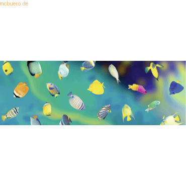 Bild von 10 x Ludwig Bähr Transparentpapier 115g/qm 50x61cm Maritim Fische