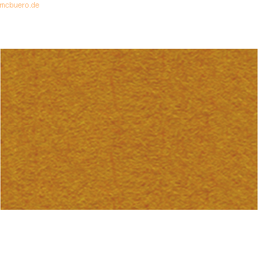 Bild von 25 x Ludwig Bähr Tonpapier 130g/qm 50x70cm rehbraun