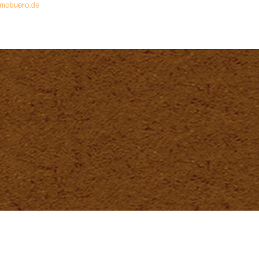 Bild von 25 x Ludwig Bähr Tonkarton 220g/qm 50x70cm mittelbraun
