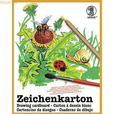 Bild von Ursus, Bastelpapier, Zeichenkarton 150g/qm A2 VE=10 Blatt (150 g/m², 1 x)