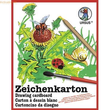 Bild von Ursus, Bastelpapier, Zeichenkarton 200g/qm A4 VE=250 Bogen (200 g/m², 1 x)