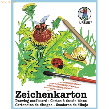 Bild von Ursus, Bastelpapier, Zeichenkarton 250g/qm A4 VE=50 Bogen (250 g/m², 1 x)