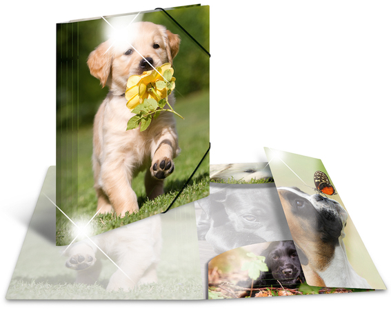 Bild von Herma, Mappe, Eckspannermappe "Hunde", PP Glossy, DIN A4 Masse: (B)244 x (T)4 x (H)320 mm, mit 3 Innenklappen (A4, 1 x)