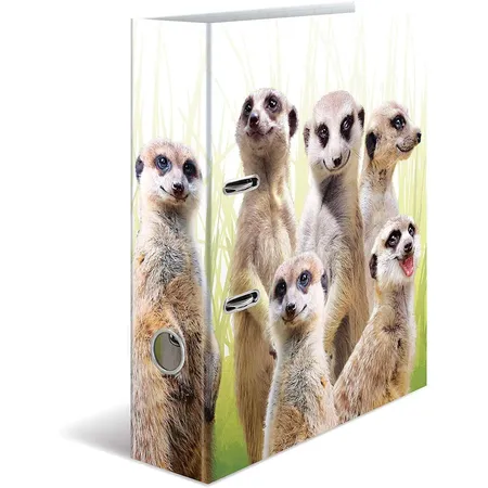 Bild von HERMA Motivordner , Exotische Tiere, , A4, Erdmännchentruppe