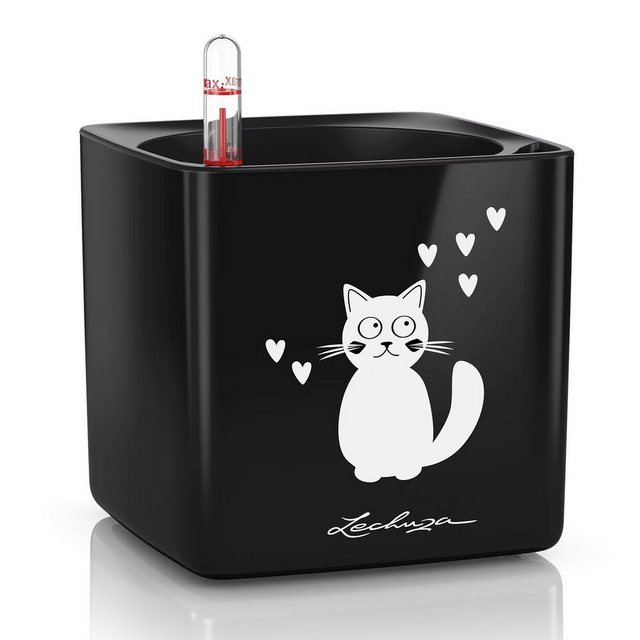 Bild von Lechuza Pflanzgefäß Cube Glossy Cat 14 cm x 14 cm x 14 cm Schwarz